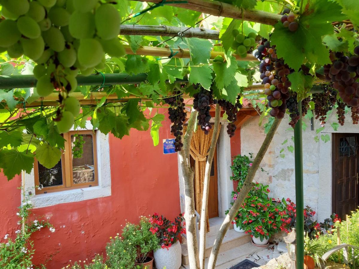 Guesthouse Villa Marija โมโตวุน ภายนอก รูปภาพ